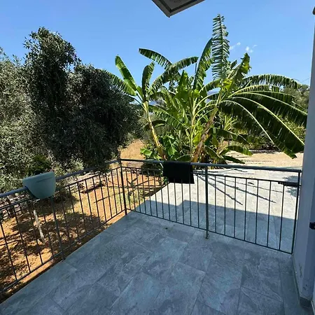 Alexander 아파트 *