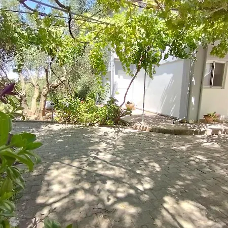 Alexander Спартия