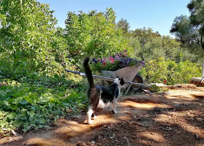 Apartment Alexander *